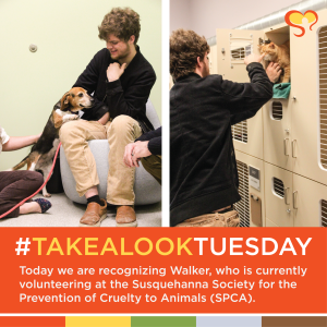 20220426-TakeALookTuesday-Walker@300x | Springbrook Connections Autism Awareness Month Walker SPCA