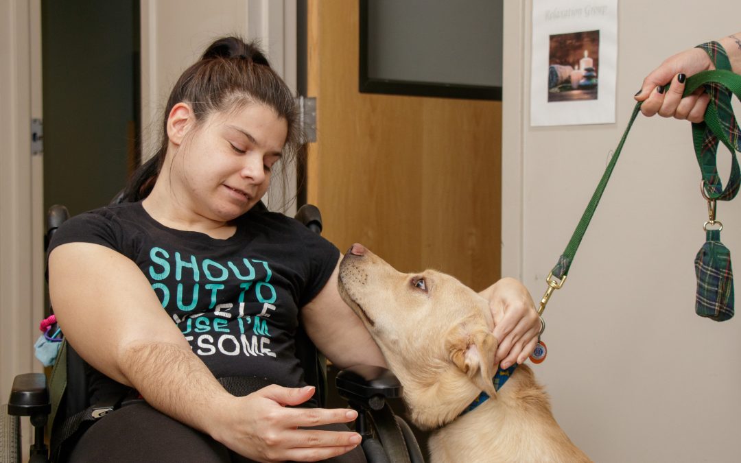 Therapy Dogs-Day Hab