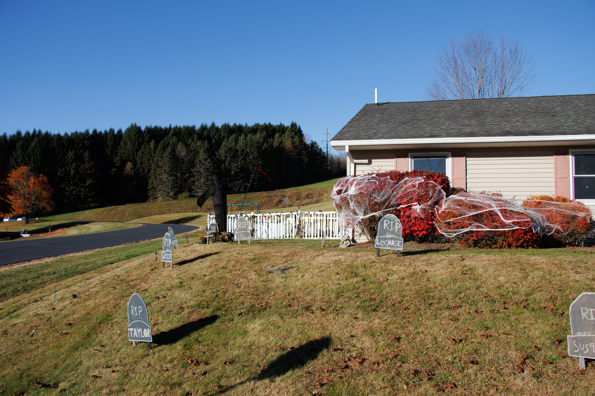 2024 Halloween Decorations Main Campus