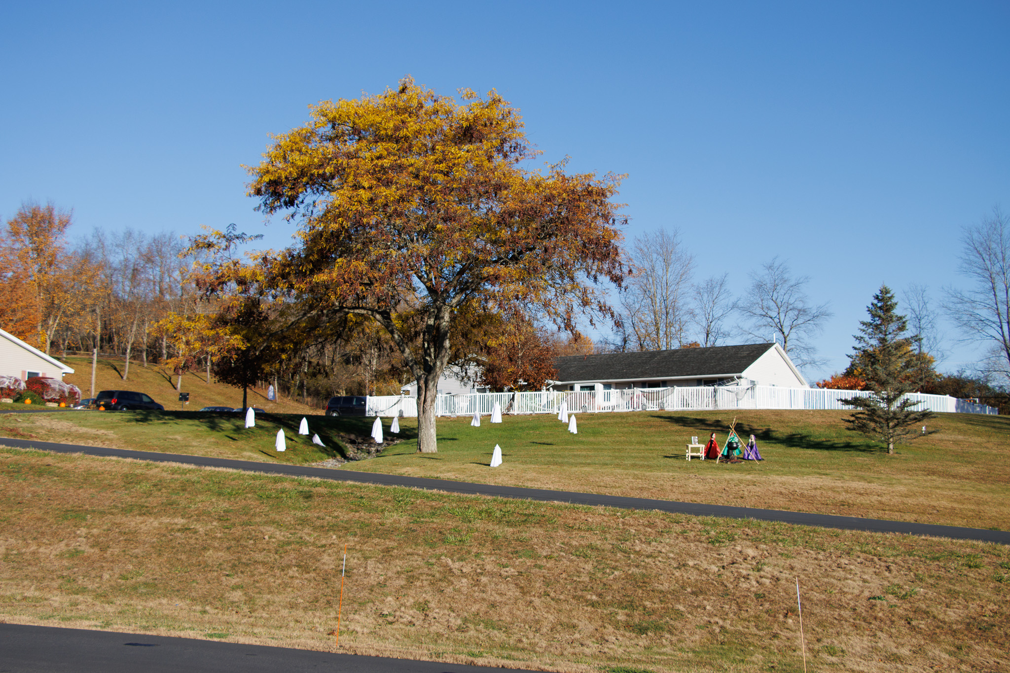 2024 Halloween Decorations Main Campus