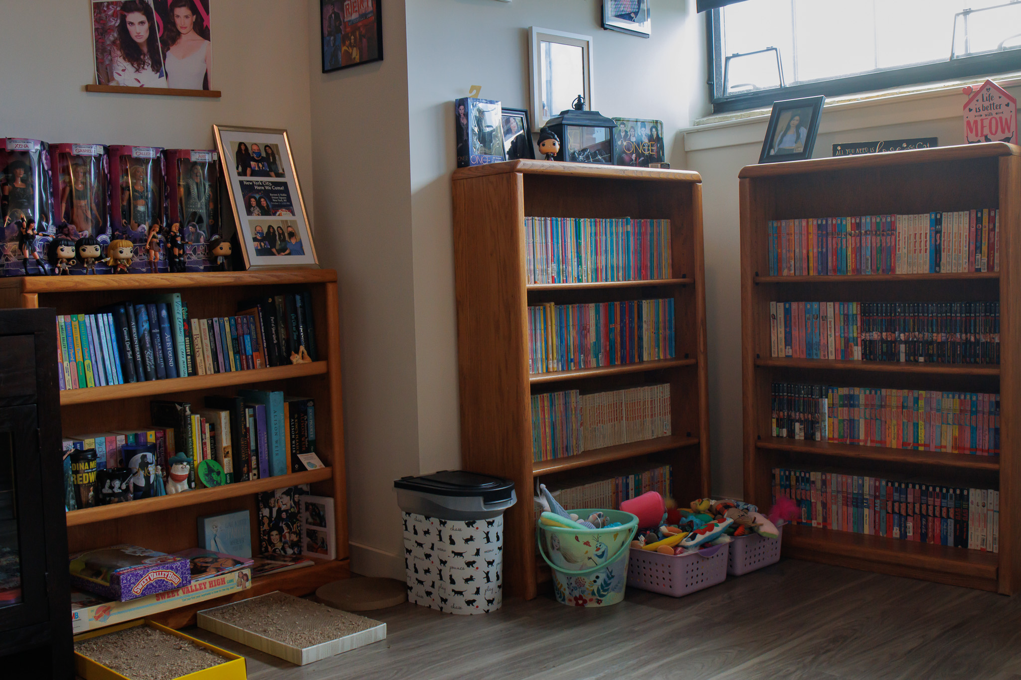 Child-friendly living room or playroom with wooden bookshelves full of colorful children's books, toys, and baskets near a window