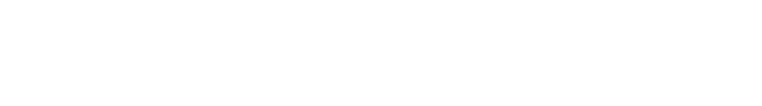 Springbrook  partners Logo- Wht